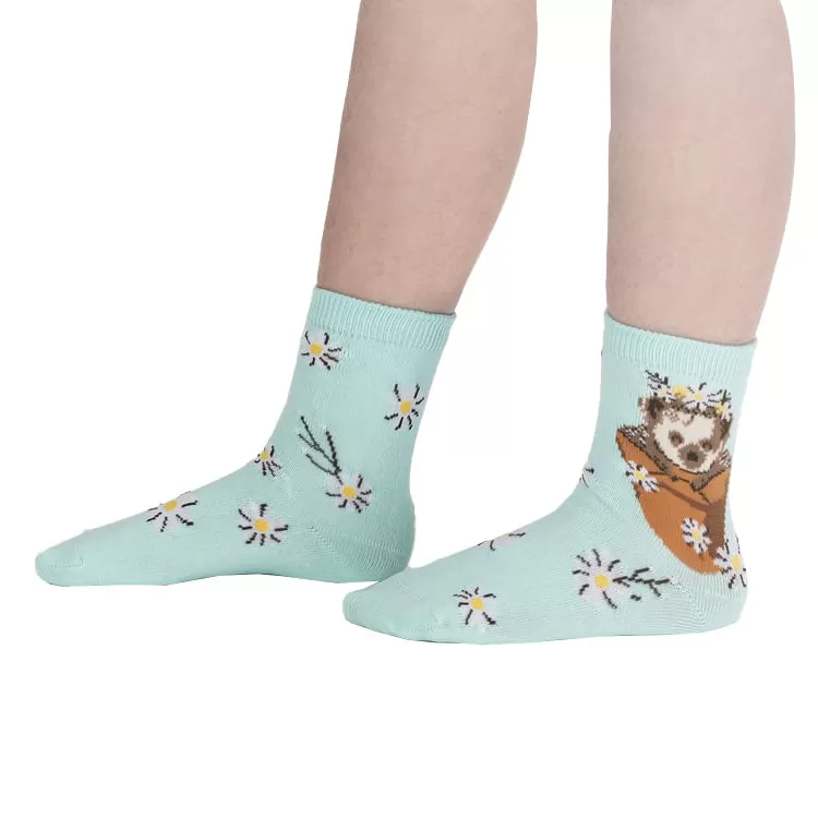 Youth My Dear Hedgehog Crew Socks 3-Pack